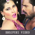 bhojpuri videos android application logo